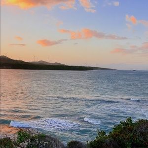 Meet your Posher, Mackenzie